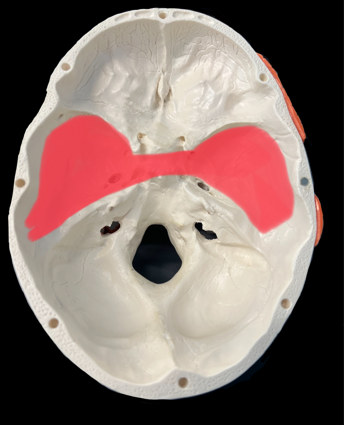 What is highlighted in red?