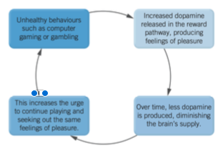 <p>Dopamine acts as a motivating agent for completing desirable activites, there is a link between dopamine and addictive behaviours. Common addiction behaviours include:</p><ul><li><p>Smoking</p></li><li><p>○  Over-eating</p></li><li><p>○  Alcohol or drug use</p></li><li><p>○  Gambling</p></li><li><p>○  Computer gaming</p></li><li><p>○  Excessive mobile phone use.</p></li></ul>