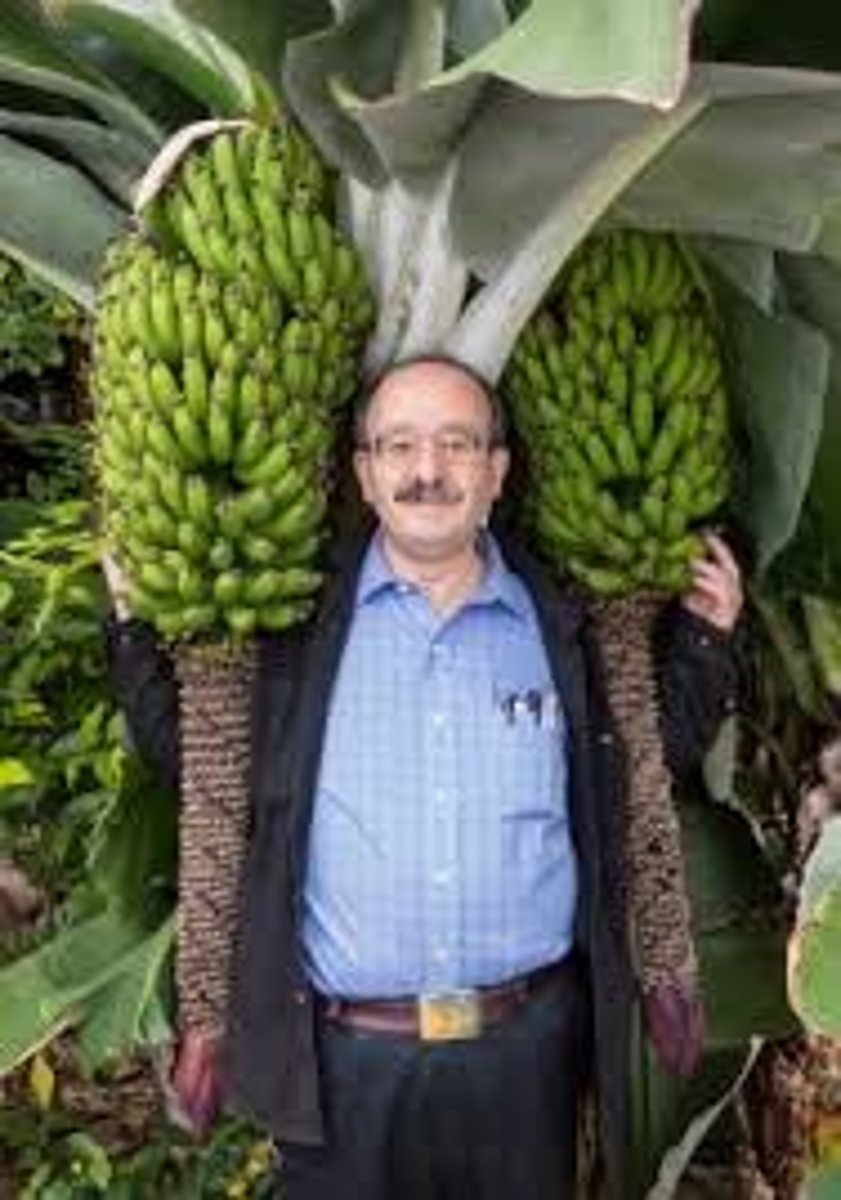 <p>Natural Capitalism (not too important)</p>