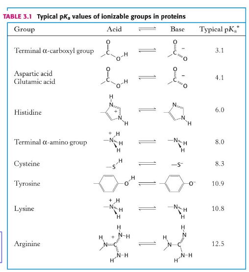 <ol><li><p> carboxylic acid</p></li></ol><ol start="2"><li><p>amine</p></li><li><p>cysteine (thiol)</p></li><li><p>histidine (pKa ~7)</p></li><li><p>arginine</p></li></ol><p></p>