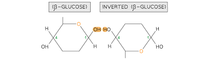 <p>polysaccharide made up of β-glucose monomers rotated 180<span style="font-family: Google Sans, Arial, sans-serif">° every two monomers</span></p>