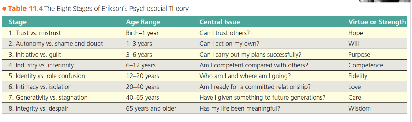<ol><li><p><strong>Trust vs. Mistrust</strong></p><ul><li><p>Age: birth — 1 year.</p></li><li><p>Central issue: <em>Can I trust others?</em></p></li><li><p>Virtue or Strength: Hope</p></li></ul></li><li><p><strong>Autonomy vs. Shame and doubt</strong></p><ul><li><p>Age: 1 — 3 years.</p></li><li><p>Central issue: <em>Can I act on my own?</em></p></li><li><p>Virtue or Strength: Will</p></li></ul></li><li><p><strong>Initiative vs. Guilt</strong></p><ul><li><p>Age: 3 — 6 years.</p></li><li><p>Central issue: <em>Can I carry out my plans successfully?</em></p></li><li><p>Virtue or Strength: Purpose</p></li></ul></li><li><p><strong>Industry vs. Inferiority</strong></p><ul><li><p>Age: 6 — 12 years.</p></li><li><p>Central issue: <em>Am I competent compared with others?</em></p></li><li><p>Virtue or Strength: Competence</p></li></ul></li><li><p><strong>Identity vs. Role confusion</strong></p><ul><li><p>Age: 12 — 20 years.</p></li><li><p>Central issue: <em>Who am I and where am I going?</em></p></li><li><p>Virtue or Strength: Fidelity</p></li></ul></li><li><p><strong>Intimacy vs. Isolation</strong></p><ul><li><p>Age: 20 — 40 years</p></li><li><p>Central issue: <em>Am I ready for a committed relationship?</em></p></li><li><p>Virtue or Strength: Love</p></li></ul></li><li><p><strong>Generativity vs. Stagnation</strong></p><ul><li><p>Age: 40 — 65 years</p></li><li><p>Central issue: <em>Have I given something to future generations?</em></p></li><li><p>Virtue or Strength: Care</p></li></ul></li><li><p><strong>Integrity vs. Despair</strong></p><ul><li><p>Age: 65 years and older</p></li><li><p>Central issue: <em>Has my life been meaningful?</em></p></li><li><p>Virtue or Strength: Wisdom</p></li></ul></li></ol><p></p>