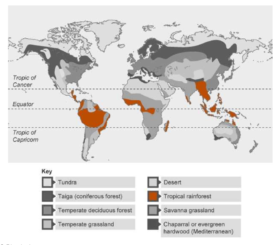 <p>Found in a large band surrounding the equator</p>