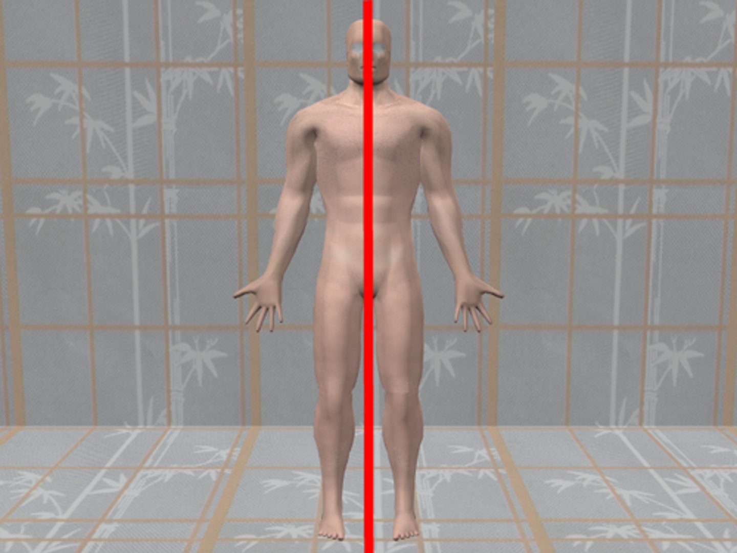 <p>Passes Trough midline. Separates the body into two equal sides</p>