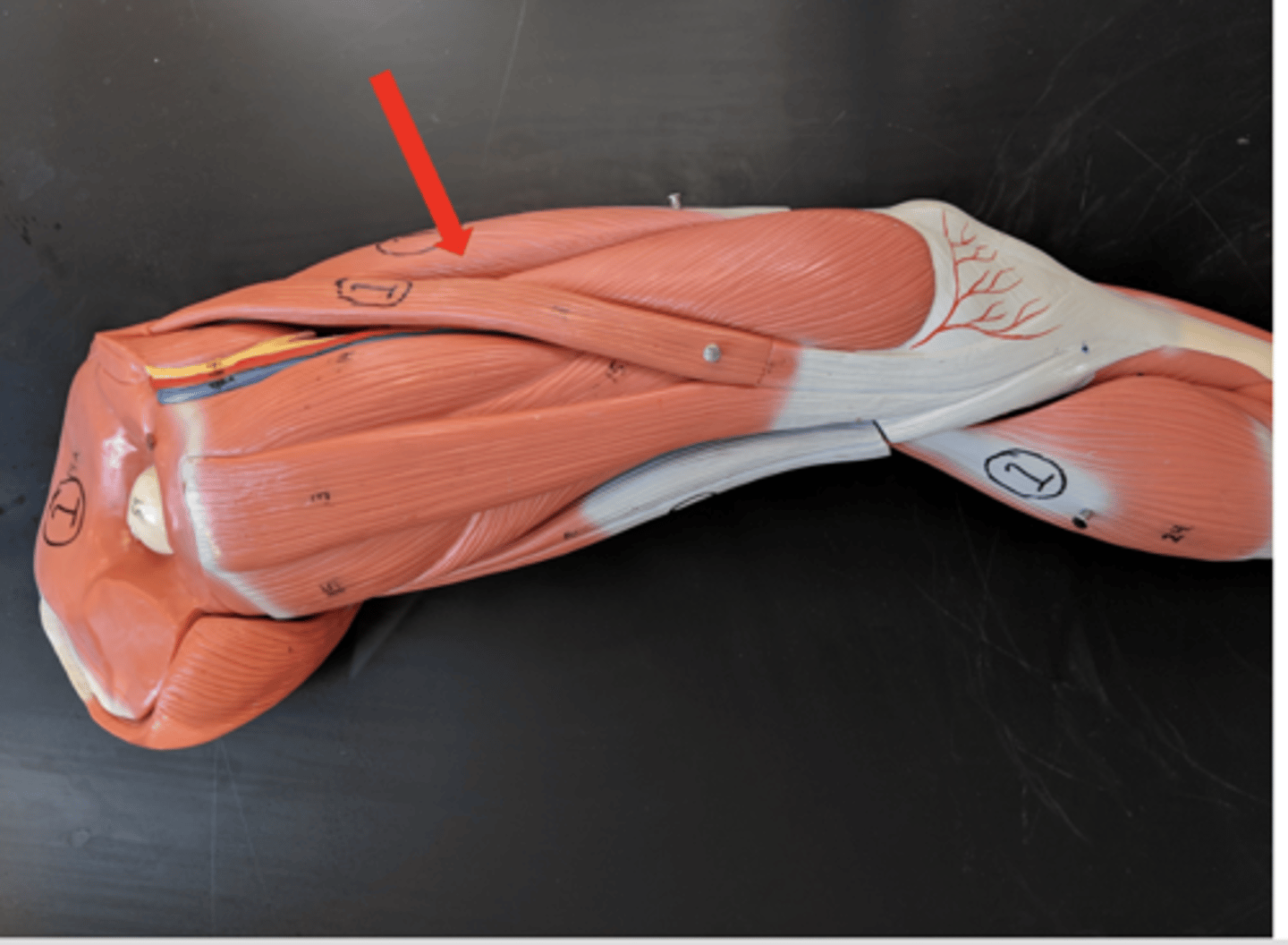 <p>what is this?</p>