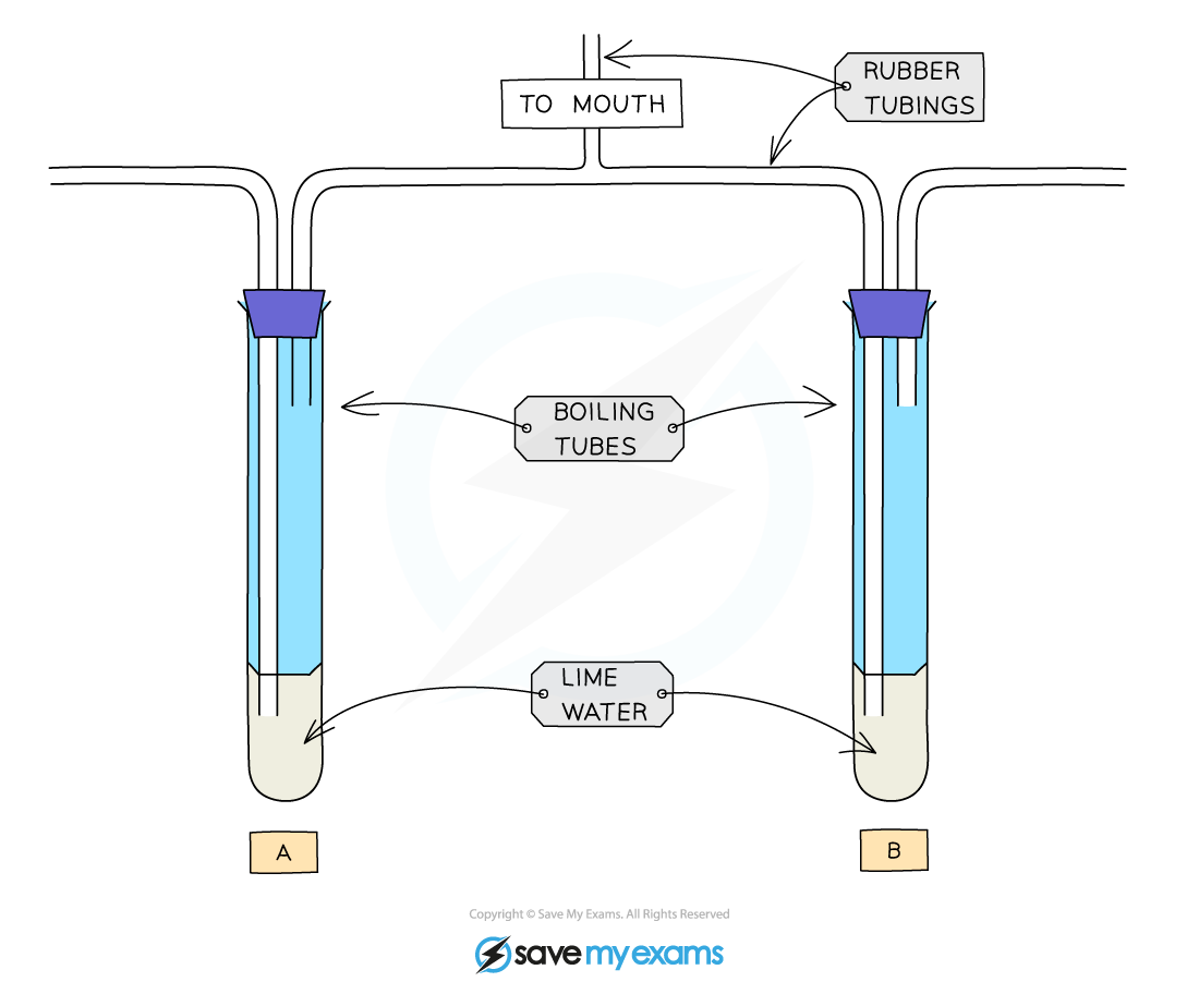 <p>The huff and puff apparatus </p>