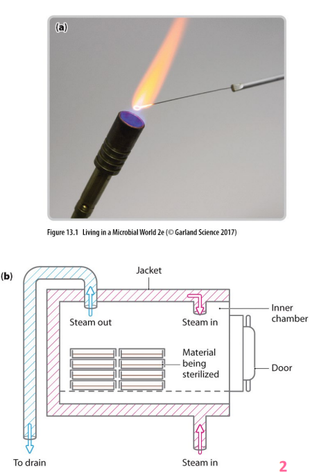 <p>Physical control: sterilisation</p>