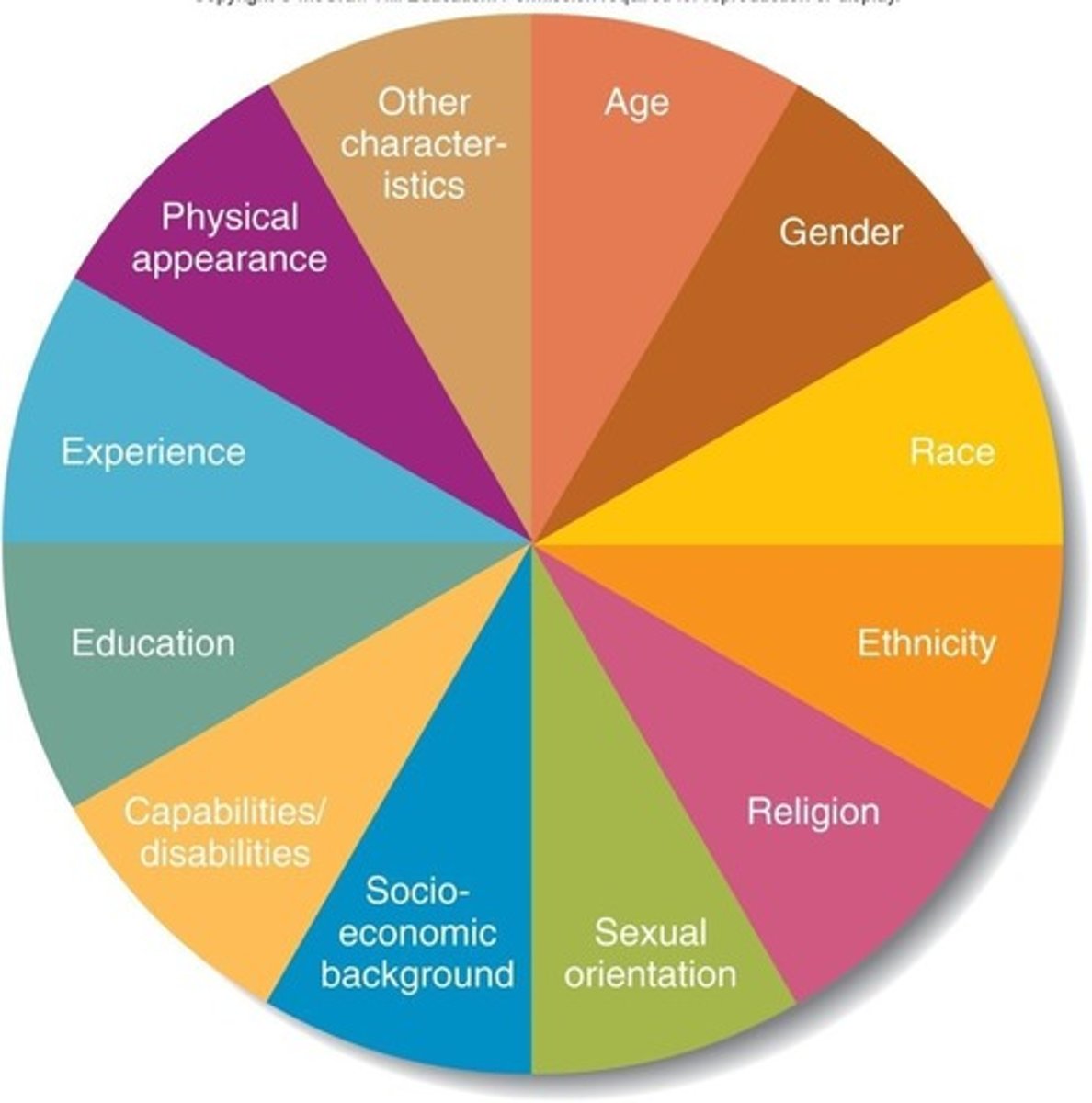 <p>Dissimilarities or differences among people due to age, gender, race, ethnicity, religion, sexual orientation, socioeconomic background, education, experience, physical appearance, capabilities/disabilities, and any other characteristic that is used to distinguish between people.</p>