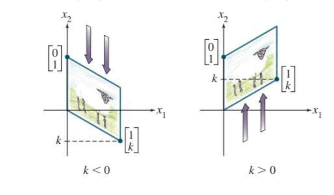 <p> Vertical shear</p>