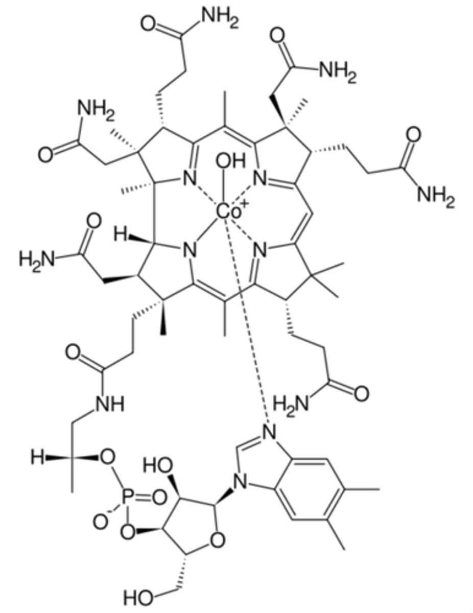 knowt flashcard image