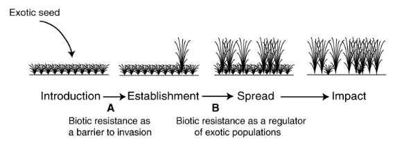 <p>What should I takeaway from this side about species introduction and invasion?</p>