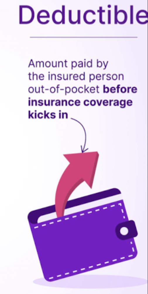 <ul><li><p>Amount paid by the insured person out of pocket before insurance coverage kicks in</p></li></ul><p></p>
