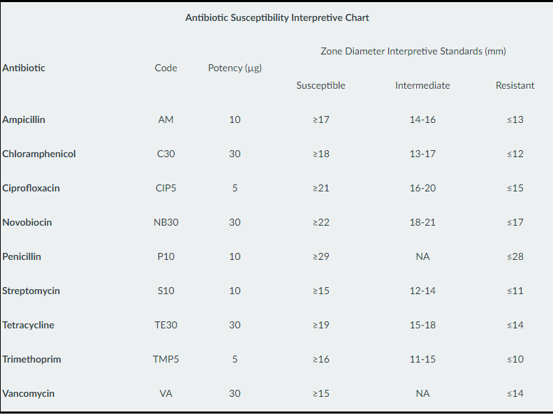 The antibiotics are prepared specifically for the antimicrobial sensitivity test by infusing known amounts into standard paper disks. As bacteria begin to grow on a plate, the antibiotics are diffusing out into the agar.  If the bacteria are sensitive to the antibiotic, at some point their growth will be inhibited and a zone of no growth (zone of inhibition) will be apparent around the disk.  The diameter of the zone is measured and the size of the zone determines whether a bacterium is determined Sensitive (S), Resistant (R), or Intermediate (I) to the antibiotic.

* The size and interpretation of the zone is specific to each bacteria-antibiotic pair and is referenced in a chart.