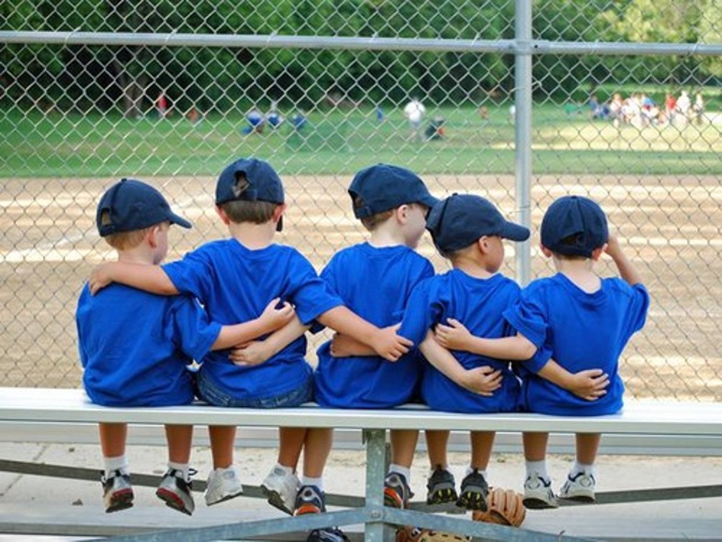 <p>the team, the teams</p>
