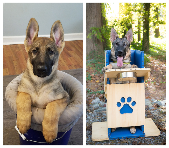 <p>Feeding in an upright position, and prokinetics.</p>