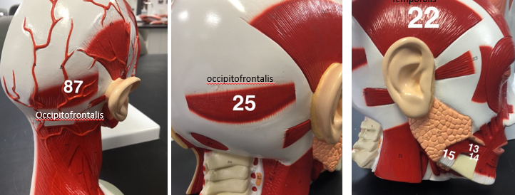 <p>what is number 87/25</p>