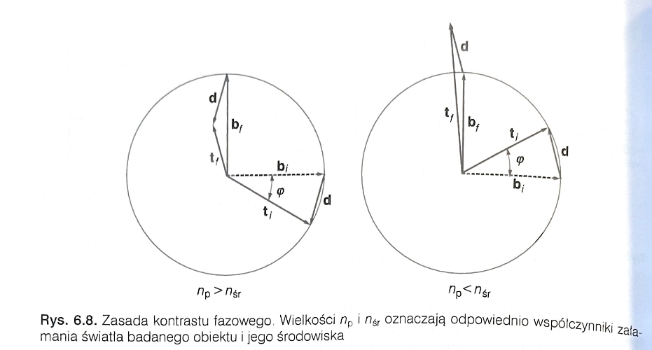 <p>Światło opisane wektorem b tworzy …, a t …</p>