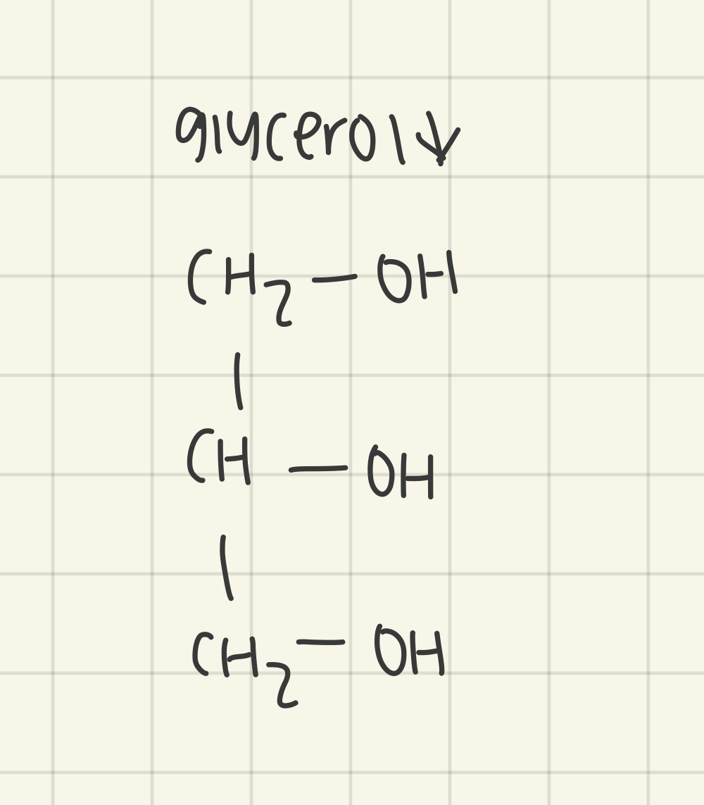 <ul><li><p>highly soluble </p></li></ul><p></p>
