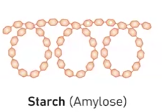 <p>It is a polysaccharide and its a major component starch in plants which store energy in long, unbranched chains of glucose.</p><p>It's main structure is categorized as having liner chains fold into a double-helix structure, and this is due to the type of monsacchardies that influence its polymer structure and therefore its function.</p>