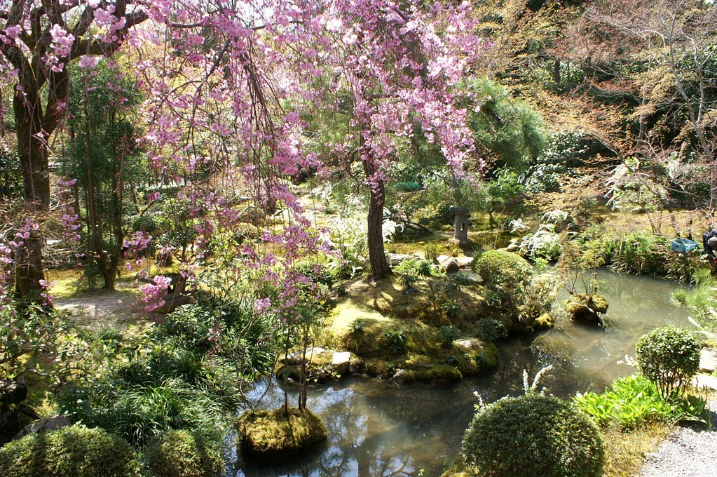 Zen Wet garden, Ryoan-Ji