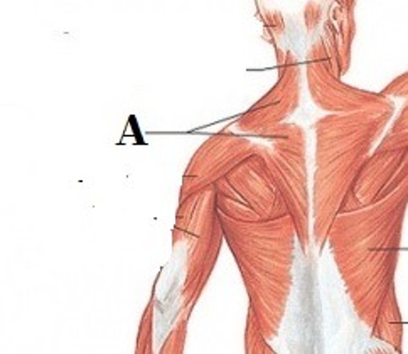 <p>DEFINITION</p>