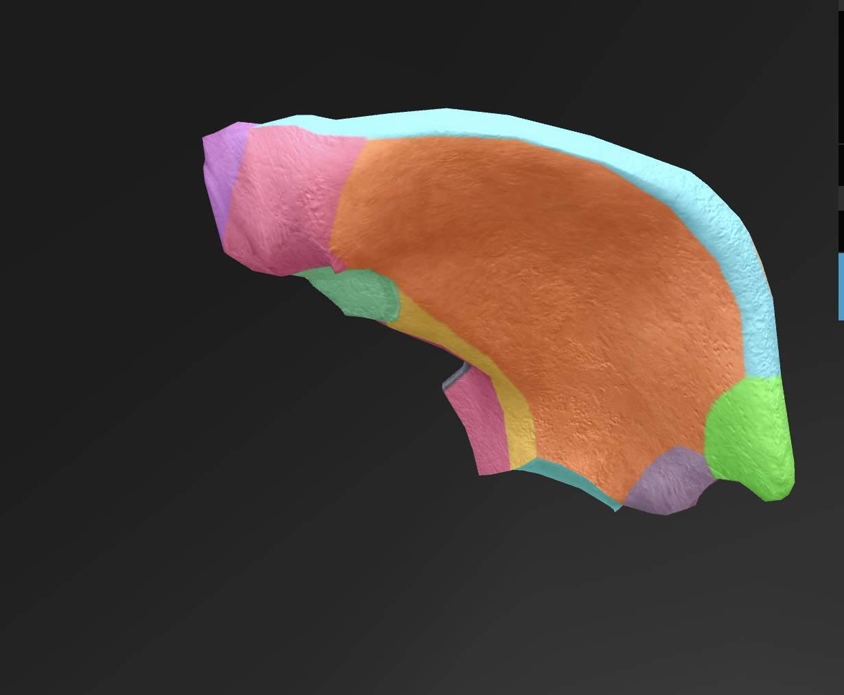 <p>the superior border of the ilium, providing attachment for muscles and ligaments. </p>