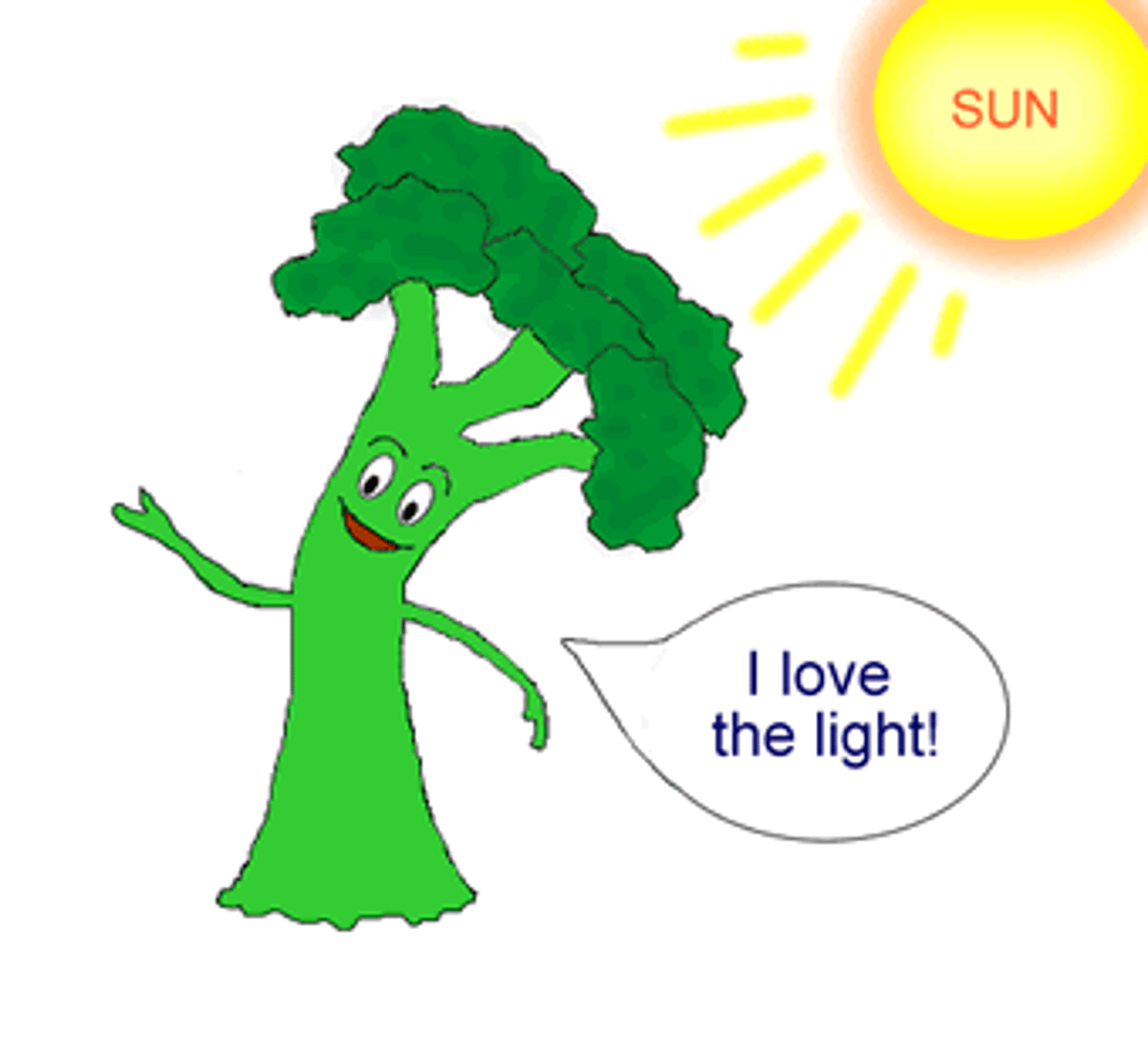 <p>Living things react to changes in the world</p>