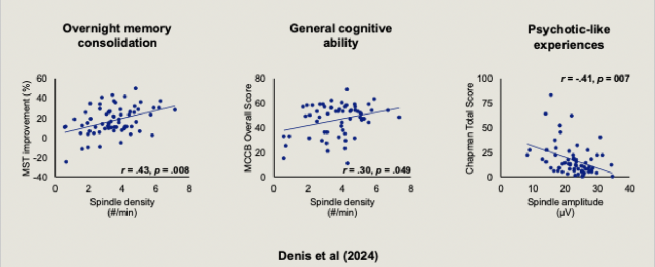 <ul><li><p>overnight memory consolidation</p></li><li><p>general cognitive ability</p></li><li><p>psychotic-like experiences</p></li></ul><p>with fewer spindles: suffer more from the cognitive problems of sz</p><p></p>