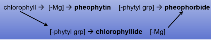 <p class="Paragraph SCXW249139289 BCX0" style="text-align: left;"><span style="line-height: 20.925px;"><span>-2. Organic compounds </span></span></p><ul><li><p class="Paragraph SCXW249139289 BCX0" style="text-align: left;"><span style="line-height: 20.925px;"><span>A. especially important for 14C dating </span></span></p></li></ul><ul><li><p class="Paragraph SCXW249139289 BCX0" style="text-align: left;"><span style="line-height: 20.925px;"><span>B. Amino acids, carbohydrates and pigments generally greatest near sediment surface were they are being deposited </span></span></p></li></ul><ul><li><p class="Paragraph SCXW249139289 BCX0" style="text-align: left;"><span style="line-height: 20.925px;"><span>C. reflect general quantity of biotic productivity; but difficult to distinguish terrestrial from aquatic; most biopolymers are not stable </span></span></p></li></ul><ul><li><p class="Paragraph SCXW249139289 BCX0" style="text-align: left;"><span style="line-height: 20.925px;"><span>D. chlorophyll derivative pigments </span></span></p></li><li><p class="Paragraph SCXW249139289 BCX0" style="text-align: left;"><span style="line-height: 20.925px;"><span>Don't have to know the equation </span></span></p></li></ul><ul><li><p class="Paragraph SCXW151650152 BCX0" style="text-align: left;"><span style="line-height: 20.925px;"><span>These pigments can be quantified photometrically by their unique absorption spectra, and by gas/liquid chromatography </span></span></p></li></ul><ul><li><p class="Paragraph SCXW151650152 BCX0" style="text-align: left;"><span style="line-height: 20.925px;"><span>other pigments can be informative, e.g. myxoxanthin, a bluegreen carotenoid, can indicate eutrophic conditions (at time of deposition) </span></span></p></li></ul><ul><li><p class="Paragraph SCXW151650152 BCX0" style="text-align: left;"><span style="line-height: 20.925px;"><span>Commonly, lakes in post-glacial period show early increase in mineral deposition and biotic productivity (as pigments), followed by lower stable rates, and finally recent eutrophication </span></span></p></li></ul><ul><li><p class="Paragraph SCXW151650152 BCX0" style="text-align: left;"><span style="line-height: 20.925px;"><span>In marl lake cores, Wetzel showed an inverse correlation of productivity and extreme calcareous conditions </span></span></p></li></ul><p></p>