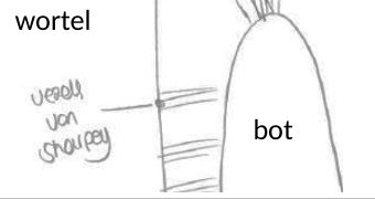 <p>Vezels van Sharpey</p>