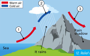 <ul><li><p>warm moist air travels over a large body of water</p></li><li><p>it reaches a mountain, rises and cools and condenses forming clouds and bringing rain</p></li><li><p>once it passes over the mountain the air begins to dry up again and forms a rain shadow </p></li></ul><p></p>