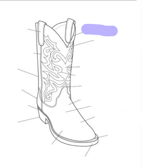 <p>What part of the boot is this? (labeled in purple)</p>