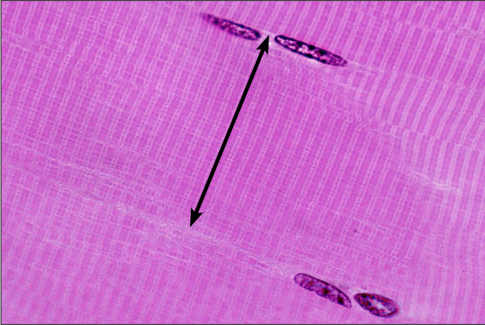 <p>What is this highlighting</p>