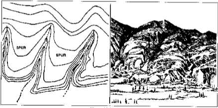 <p>A short, continuous sloping line of higher ground, normally jutting out from the side of a ridge.</p>