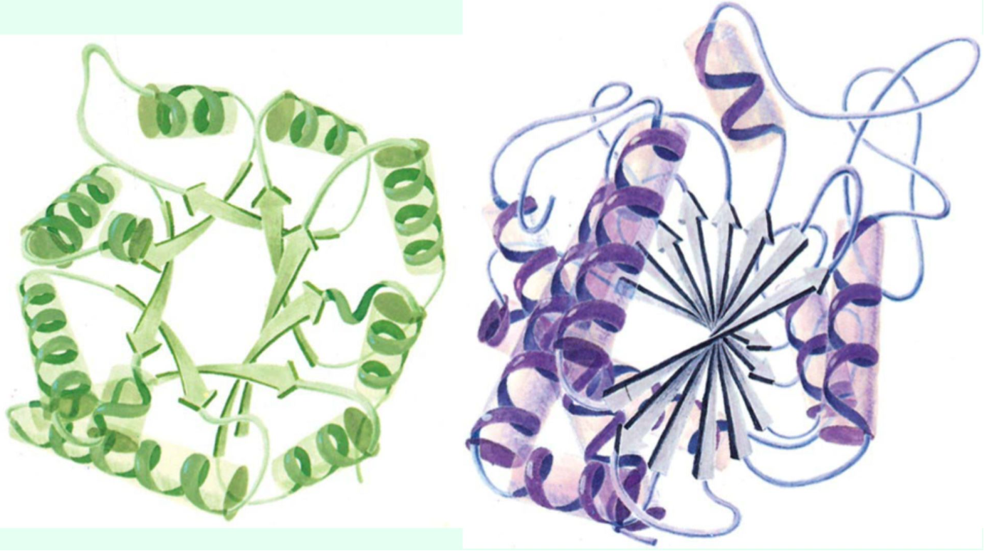 <p><strong>Right</strong>-handed twist</p>