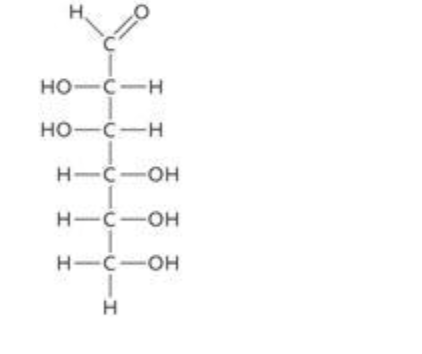 <p><span style="background-color: transparent; font-family: &quot;Times New Roman&quot;, serif;">&nbsp;The molecule in the accompanying figure is mannose, an example of a ____ sugar.​</span></p><table style="min-width: 75px;"><colgroup><col style="min-width: 25px;"><col style="min-width: 25px;"><col style="min-width: 25px;"></colgroup><tbody><tr><td colspan="1" rowspan="1" style="vertical-align: top; overflow: hidden; overflow-wrap: break-word;"><p><span style="background-color: transparent;">&nbsp;</span></p></td><td colspan="1" rowspan="1" style="vertical-align: top; padding: 1.5pt 0pt; overflow: hidden; overflow-wrap: break-word;"><p><span style="background-color: transparent; font-family: &quot;Times New Roman&quot;, serif;">a.&nbsp;</span></p></td><td colspan="1" rowspan="1" style="vertical-align: top; padding: 1.5pt 20pt 1.5pt 0pt; overflow: hidden; overflow-wrap: break-word;"><p><span style="background-color: transparent; font-family: &quot;Times New Roman&quot;, serif;">​triose</span></p></td></tr><tr><td colspan="1" rowspan="1" style="vertical-align: top; overflow: hidden; overflow-wrap: break-word;"><p><span style="background-color: transparent;">&nbsp;</span></p></td><td colspan="1" rowspan="1" style="vertical-align: top; padding: 1.5pt 0pt; overflow: hidden; overflow-wrap: break-word;"><p><span style="background-color: transparent; font-family: &quot;Times New Roman&quot;, serif;">b.&nbsp;</span></p></td><td colspan="1" rowspan="1" style="vertical-align: top; padding: 1.5pt 20pt 1.5pt 0pt; overflow: hidden; overflow-wrap: break-word;"><p><span style="background-color: transparent; font-family: &quot;Times New Roman&quot;, serif;">hexose​</span></p></td></tr><tr><td colspan="1" rowspan="1" style="vertical-align: top; overflow: hidden; overflow-wrap: break-word;"><p><span style="background-color: transparent;">&nbsp;</span></p></td><td colspan="1" rowspan="1" style="vertical-align: top; padding: 1.5pt 0pt; overflow: hidden; overflow-wrap: break-word;"><p><span style="background-color: transparent; font-family: &quot;Times New Roman&quot;, serif;">c.&nbsp;</span></p></td><td colspan="1" rowspan="1" style="vertical-align: top; padding: 1.5pt 20pt 1.5pt 0pt; overflow: hidden; overflow-wrap: break-word;"><p><span style="background-color: transparent; font-family: &quot;Times New Roman&quot;, serif;">pentose​</span></p></td></tr><tr><td colspan="1" rowspan="1" style="vertical-align: top; overflow: hidden; overflow-wrap: break-word;"><p><span style="background-color: transparent;">&nbsp;</span></p></td><td colspan="1" rowspan="1" style="vertical-align: top; padding: 1.5pt 0pt; overflow: hidden; overflow-wrap: break-word;"><p><span style="background-color: transparent; font-family: &quot;Times New Roman&quot;, serif;">d.&nbsp;</span></p></td><td colspan="1" rowspan="1" style="vertical-align: top; padding: 1.5pt 20pt 1.5pt 0pt; overflow: hidden; overflow-wrap: break-word;"><p><span style="background-color: transparent; font-family: &quot;Times New Roman&quot;, serif;">heptose​</span></p></td></tr><tr><td colspan="1" rowspan="1" style="vertical-align: top; overflow: hidden; overflow-wrap: break-word;"><p><span style="background-color: transparent;">&nbsp;</span></p></td><td colspan="1" rowspan="1" style="vertical-align: top; padding: 1.5pt 0pt; overflow: hidden; overflow-wrap: break-word;"><p><span style="background-color: transparent; font-family: &quot;Times New Roman&quot;, serif;">e.&nbsp;</span></p></td><td colspan="1" rowspan="1" style="vertical-align: top; padding: 1.5pt 20pt 1.5pt 0pt; overflow: hidden; overflow-wrap: break-word;"><p><span style="background-color: transparent; font-family: &quot;Times New Roman&quot;, serif;">tetrose​</span></p></td></tr></tbody></table><p></p>