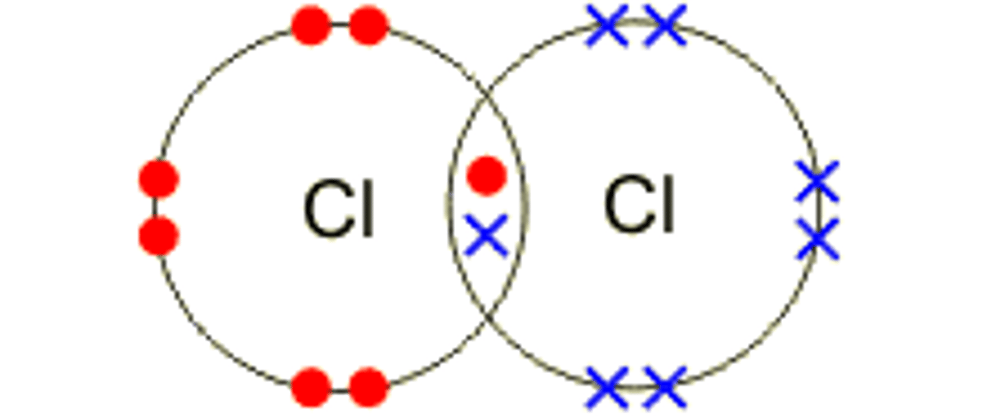 <p>chloride</p>