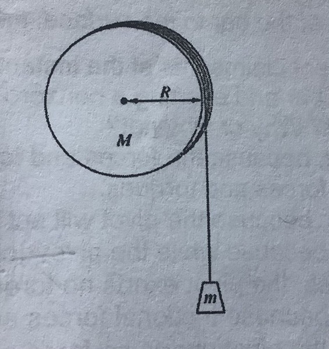 <p>B. (m + M/2)g</p>