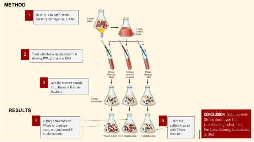 <p><span style="background-color: transparent;"><span>Avery, McLeod, McCarty </span></span></p>