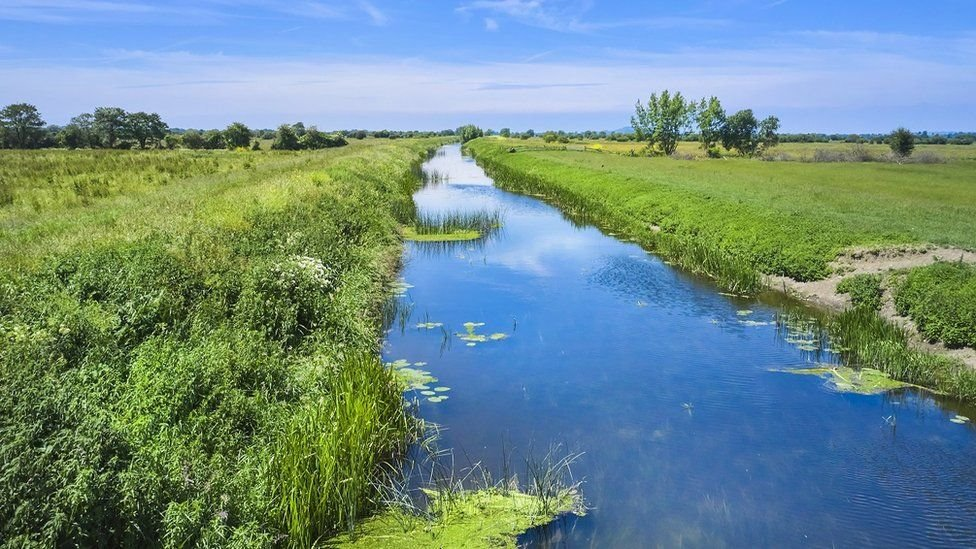 <p>Vast (covers an area of 65km<sup>2</sup>)</p><p>Flat &amp; very low (much of the land is below sea level &amp; the highest altitude is only 8m)</p><p>Used for agriculture </p><p>Marshland &amp; farmland</p>