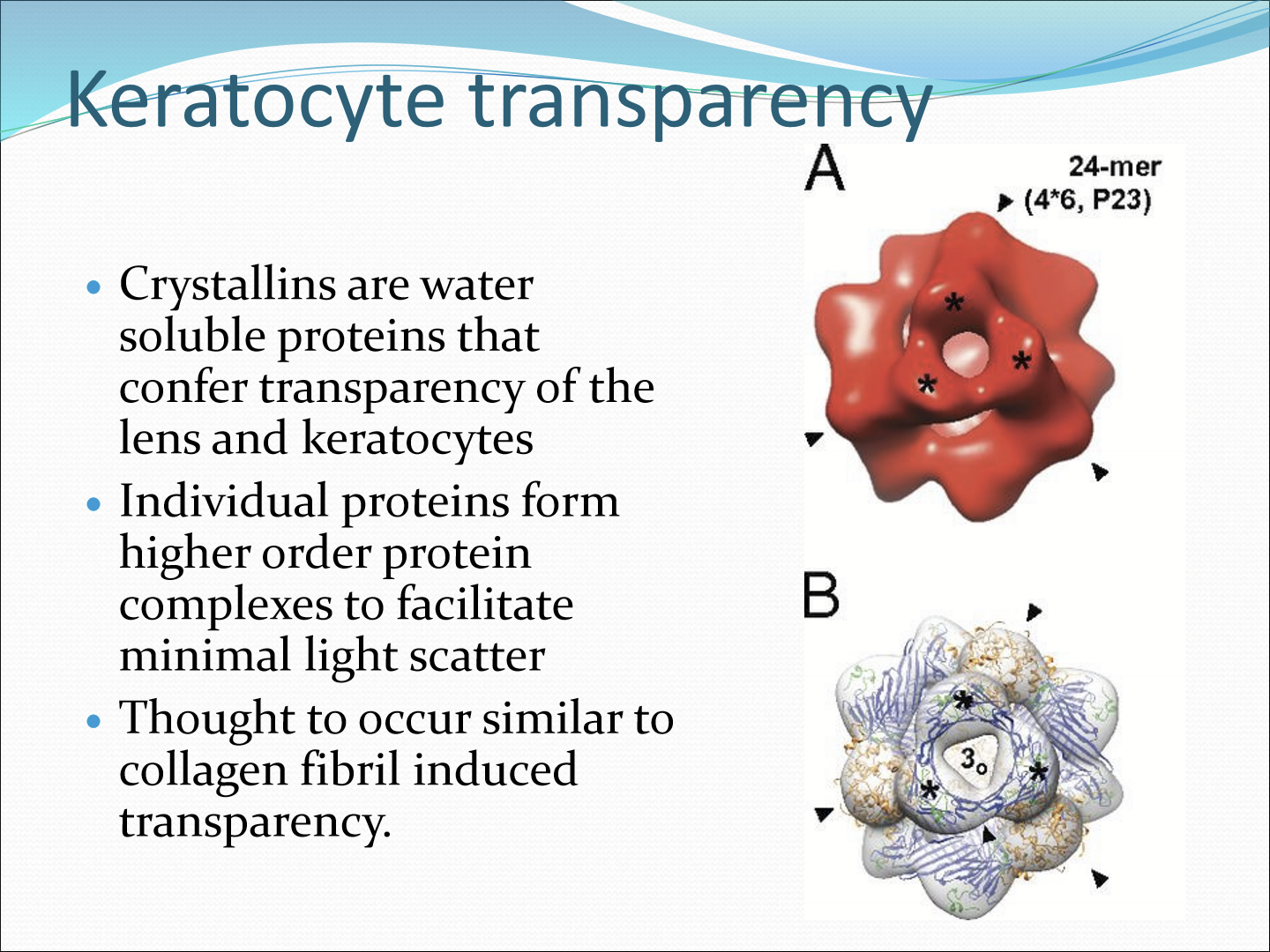 <p>They are water soluble proteins that allow transparency of the lens and keratocytes. They are individual proteins that form high order proteins that complexes to facilitate minimal light scatter. </p>
