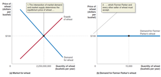 <p>buyers or sellers that are unable to affect the market price because they are tiny relative to the market and sell exactly the same product as everyone else</p><ul><li><p>feature in perfectly competitive markets</p></li><li><p>demand curve is horizontal</p></li><li><p>actions of one consumer or firm don’t affect the market price, but their collective actions do</p></li></ul><p></p>