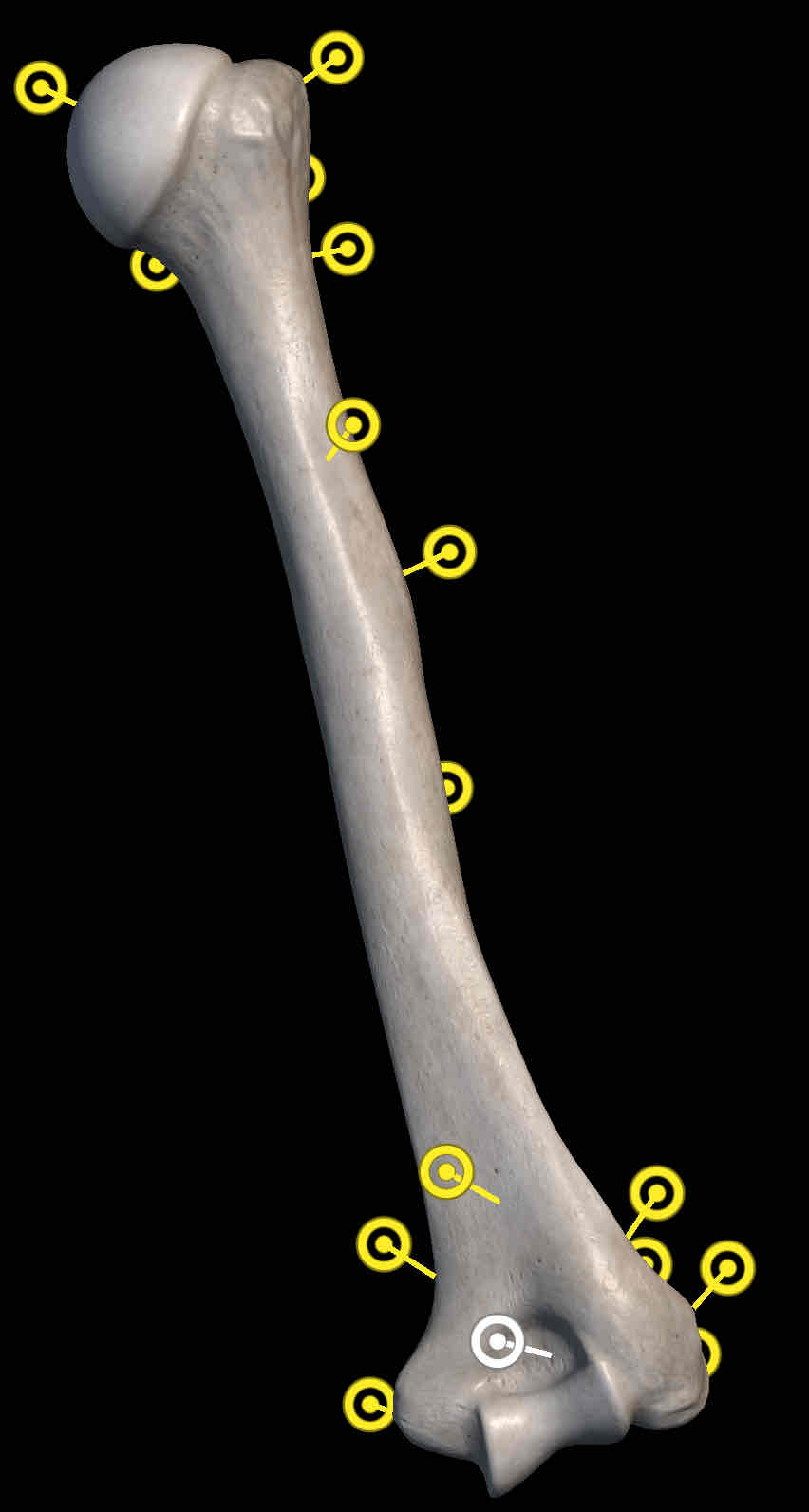 <p>Name the structure</p>