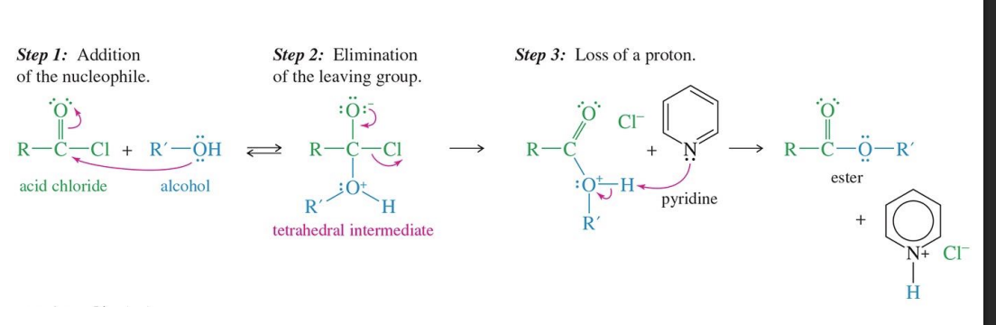 <p>Starting </p><ul><li><p>Acid Chloride </p></li></ul><p>Reagents</p><ul><li><p>Alcohol</p></li><li><p>Pyridine</p></li></ul><img src="https://knowt-user-attachments.s3.amazonaws.com/ed0b59b2-8129-4f05-b48a-d62e09b59c38.png" data-width="100%" data-align="center"><p>Mechanism </p><ol><li><p>the alcohol attacks the acid chloride forming tetrahedral. ( the double bond with O of acid chloride becomes a single bond)</p></li><li><p>the Cl Leaves causing the double bond with oxygen to be restored </p></li><li><p>The Pyridine comes in and take a hydrogen from R - OH</p></li></ol><p></p>