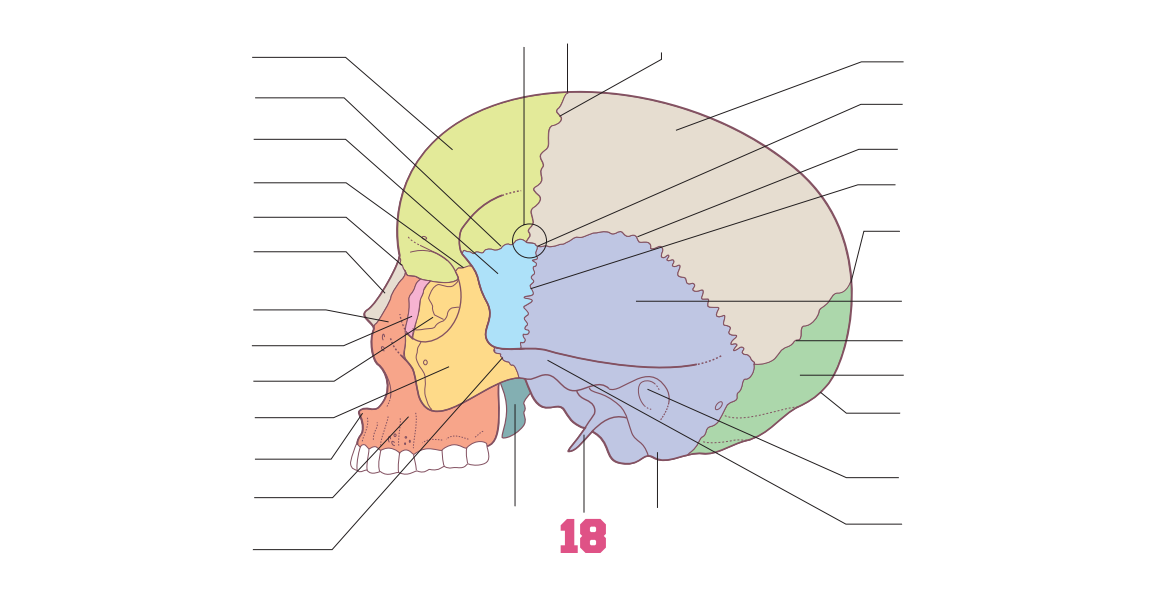 <p>18</p>