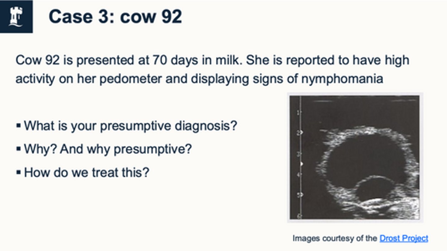 <p>case 5 - what is your presumptive diagnosis ? and why ?</p>