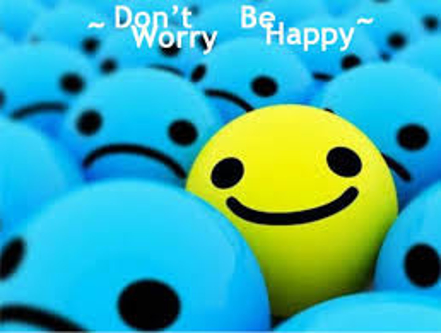 <p>don't worry</p>
