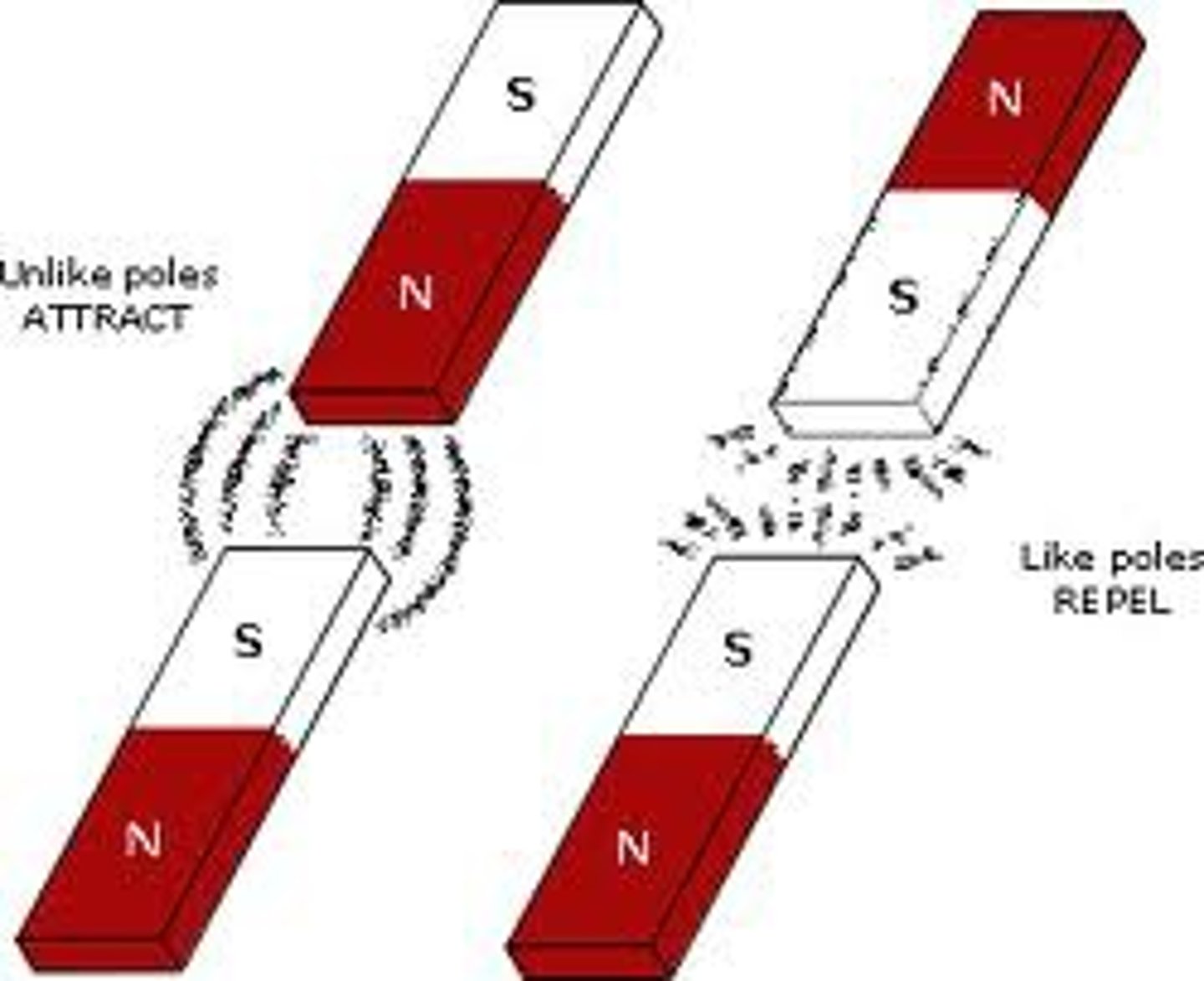 <p>the ends of a magnet, that have opposing magnetic qualities</p>