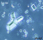 <p>What is this?</p>