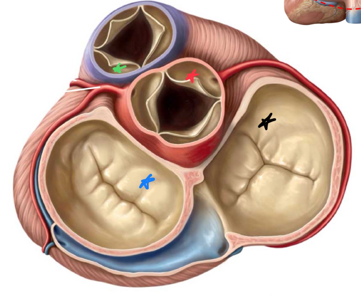 <p>What state is shown in the image?</p>